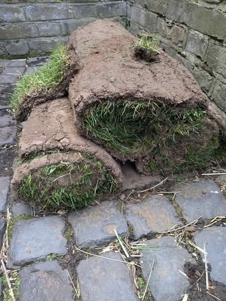 Photo of free 3 X rolls of turf (Millwall, E14) #1