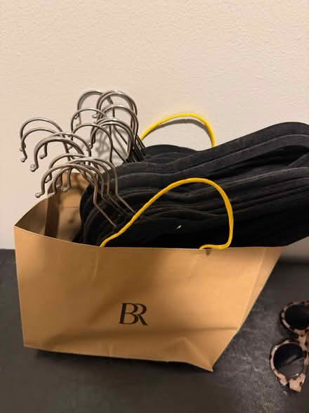 Photo of free Hangers (Near Lincoln Park) #1