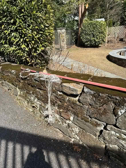 Photo of free Tall branch trimer (Bronxville) #1