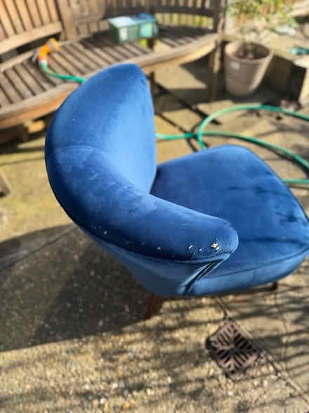 Photo of free Blue velvet chair (Chessington - KT9) #3