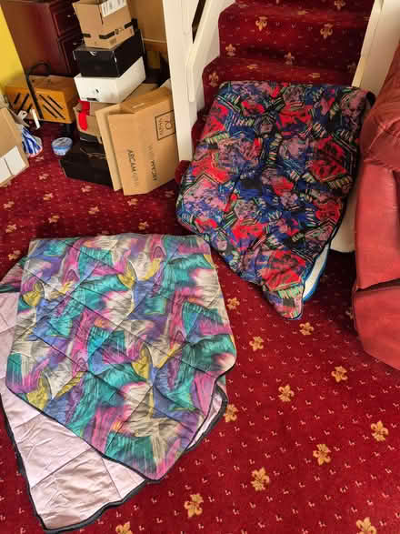 Photo of free Two sleeping bags (Galleywood CM2) #4