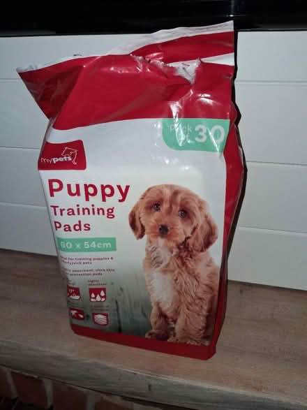 Photo of free Puppy Pads (Sarisbury Green SO31) #1