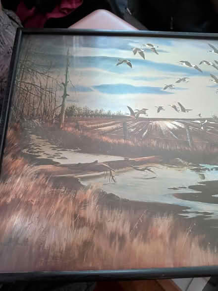 Photo of free Bird themed framed picture (BR1 bickley) #3