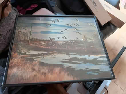 Photo of free Bird themed framed picture (BR1 bickley) #1