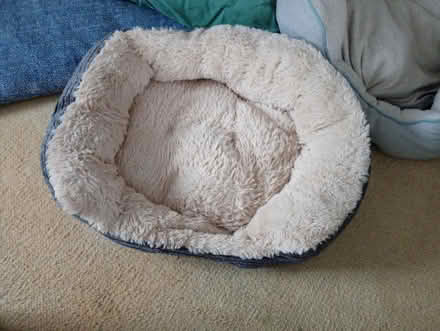 Photo of free Small Dog Items (Melbourn SG8) #4