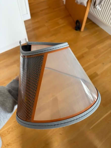 Photo of free Dog cone (Bow, E3) #1