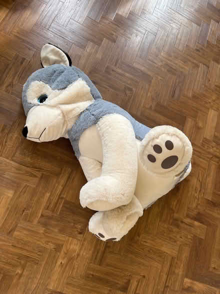 Photo of free Large teddy (Cheam SM2) #1