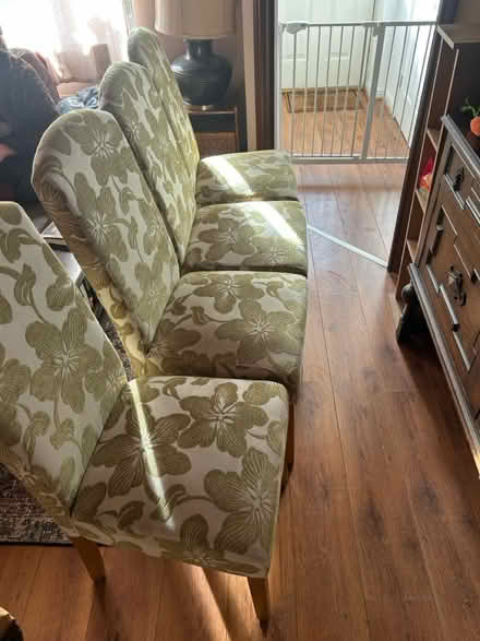 Photo of free 4x dining chairs (Fallowfield Manchester M14) #1