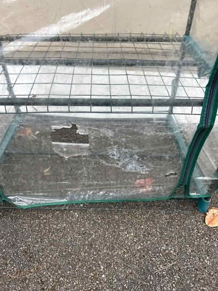 Photo of free Greenhouse (Finchampstead RG40) #2