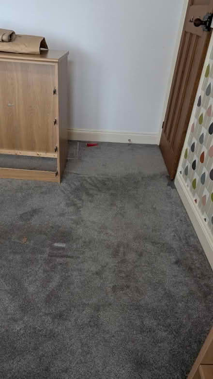 Photo of free Carpet and underlay (Bishop's Stortford) #1