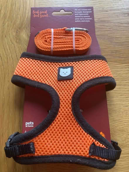 Photo of free Cat harness and lead (Chaddesden DE21) #1