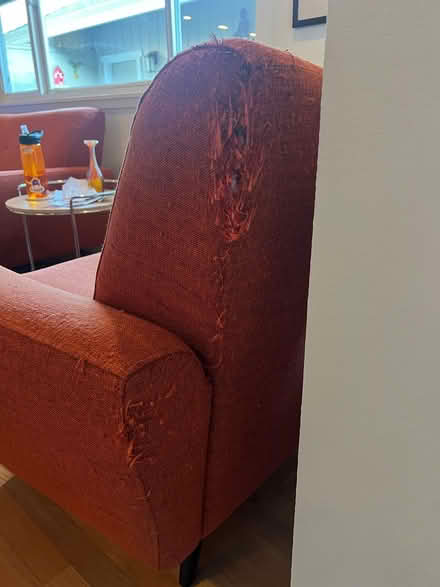 Photo of free Burnt Orange Accent Chairs (Bennett Valley) #3