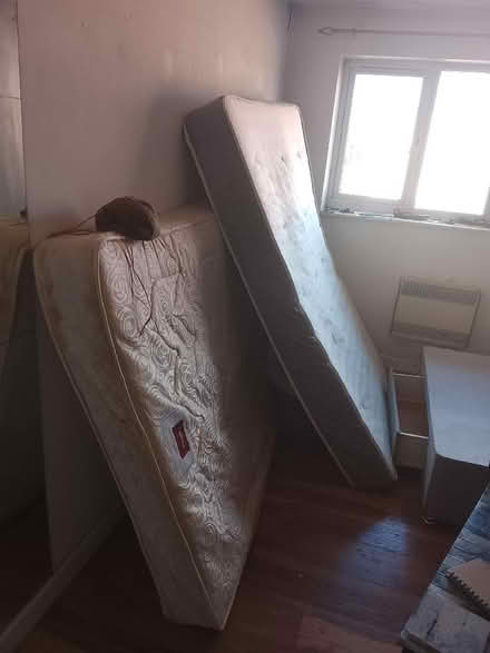 Photo of free Used furniture (Arle GL51) #4