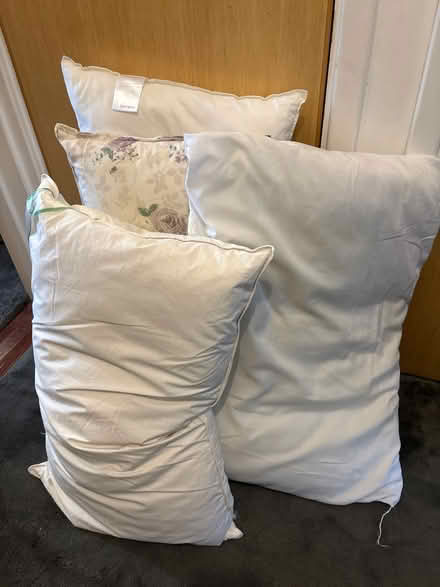 Photo of free Assorted pillows (E3) #1