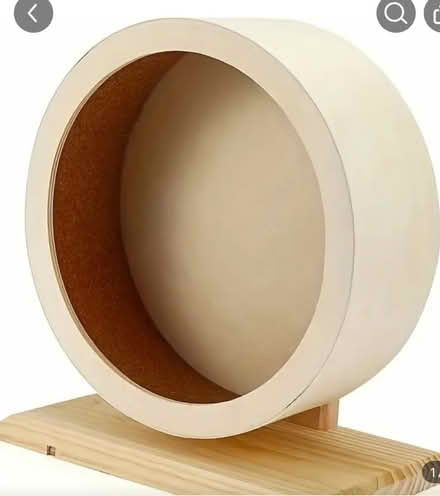 Photo of Gerbil/hamster wheel (Felixstowe, UK Ip11) #1