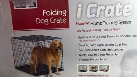 Photo of free Large dog crate (East Somerville) #1