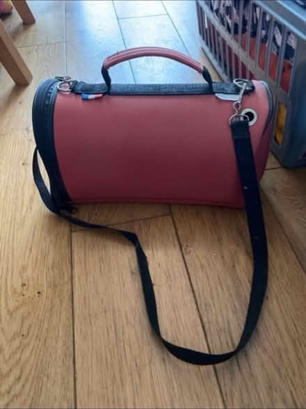 Photo of free Small Animal Carrier (Cheshunt En8) #2