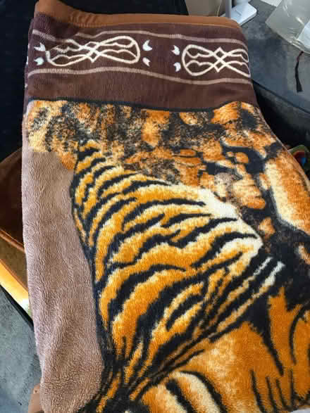 Photo of free Thick Creel Blanket (E3) #3