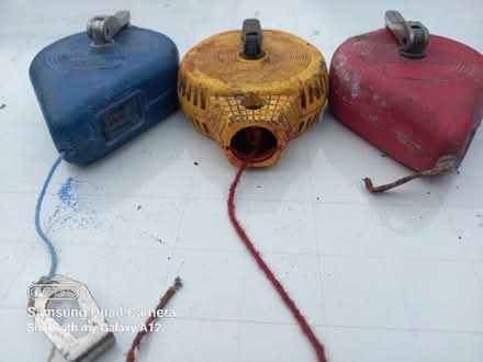 Photo of free String line x 3 (Shepshed LE12) #1