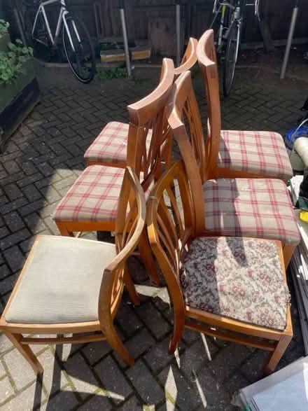 Photo of free Dining room chairs (Cowley OX4) #2