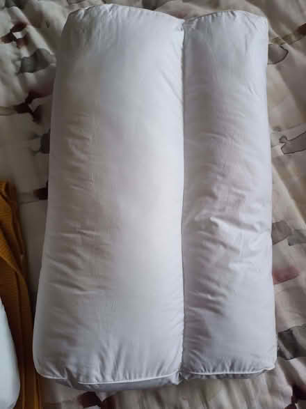 Photo of free Double duvet with two pillows (Stoke Hill EX4) #2