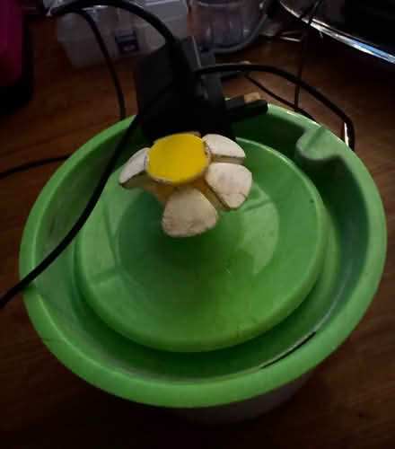 Photo of free Cat water fountain (Kidlington OX5) #2