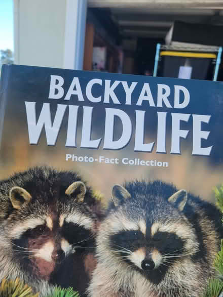 Photo of free Books (Ventura) #1