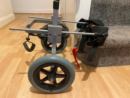 Photo of free Dog wheelchair (Twerton, BA2) #2