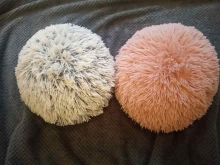 Photo of free 2 fluffy cushions (Near Horsham Station) #1