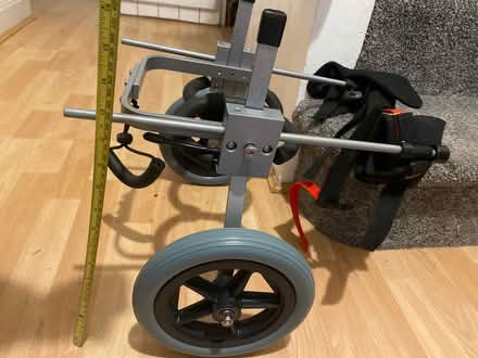 Photo of free Dog wheelchair (Twerton, BA2) #1