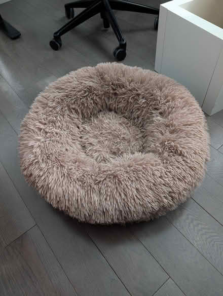 Photo of free Donut Washable Small Dog Bed (Spring Hill/Porter Square) #1