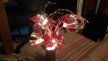 Photo of free Fibre-optic poinsettia display (OX4 - Iffley) #1