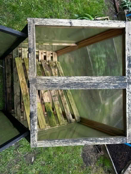 Photo of free Mini greenhouse (SE26) #2