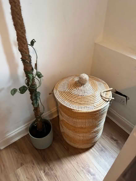 Photo of free Basket (Ponders End EN3) #1