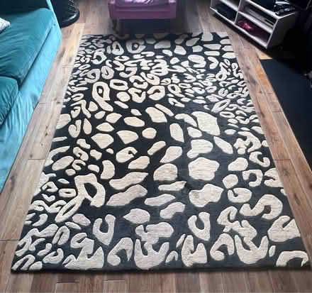 Photo of free Leopard rug 170 x 240cm (NW10) #1