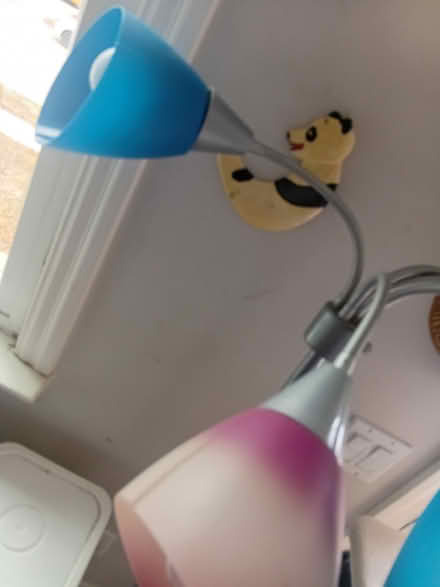 Photo of free Multicoloured floor lamp (Farm Boy on Brownsline) #1