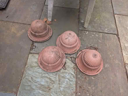 Photo of free Hanging baskets (St Albans AL4) #2