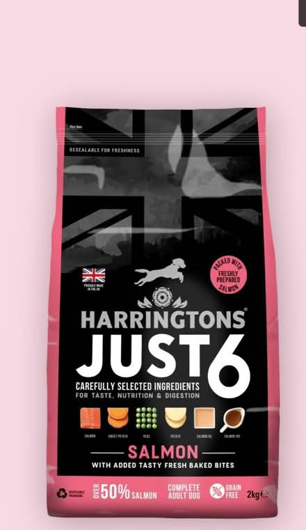 Photo of free Harringtons just 6 salmon dog food (Finsbury N4) #1