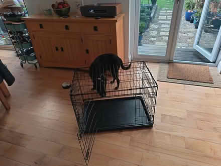 Photo of free Medium sized dog crate (Dundrum) #1