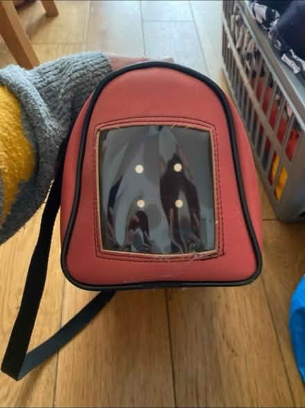 Photo of free Small Animal Carrier (Cheshunt En8) #3