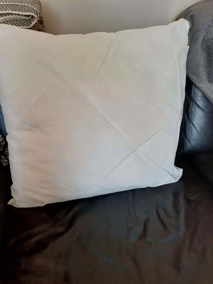 Photo of free Pillow (Royal Leamington Spa CV32) #1