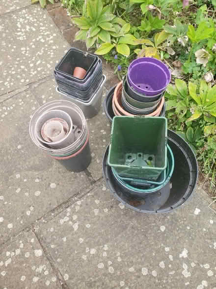 Photo of free Plastic plant pots in a variety of sizes (Dyke Road area BN1) #2