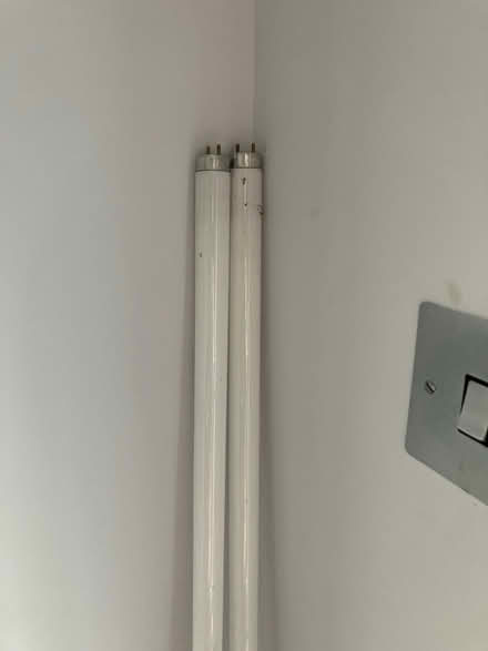 Photo of free 2 x 1.5m flurorescent tubes (T8) (Berkhamsted HP4) #2