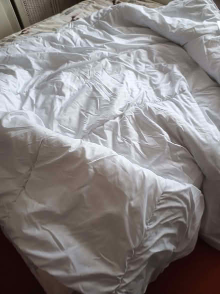 Photo of free Double duvet with two pillows (Stoke Hill EX4) #4