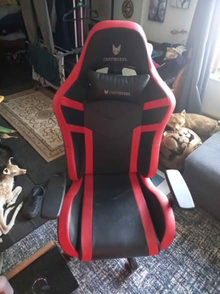 Photo of free Gaming chair (Shepshed LE12) #1