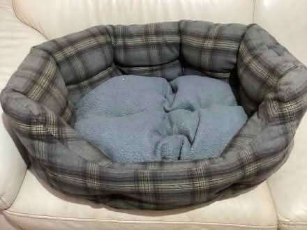 Photo of free Dog bed (Lancaster willow lane) #1