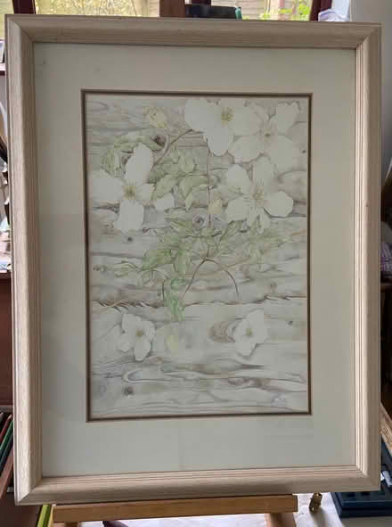 Photo of free Coloured pencil drawing of clematis (CV7) #1
