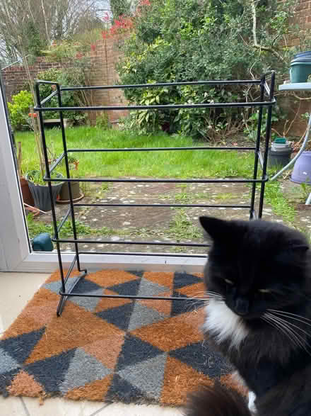 Photo of free Shoe rack (Hurstpierpoint BN6) #1