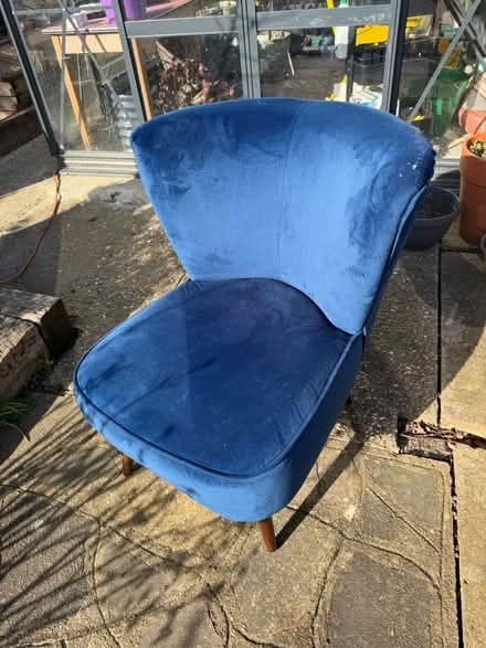 Photo of free Blue velvet chair (Chessington - KT9) #1