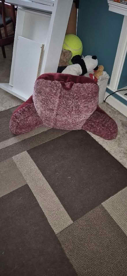 Photo of free Cuddle cushion (Caversham RG4) #1